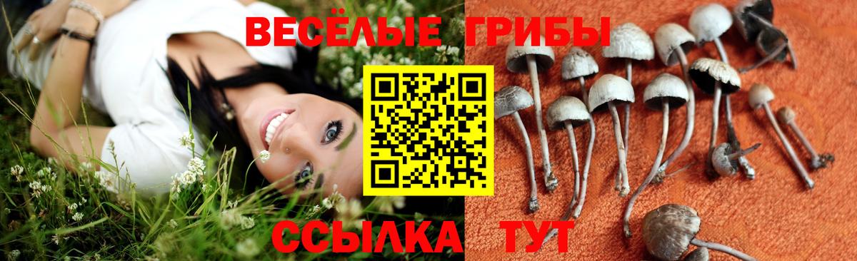 дарнет шоп  Галлюциногенные грибы Magic Shrooms  Вход с VPN  Назрань 